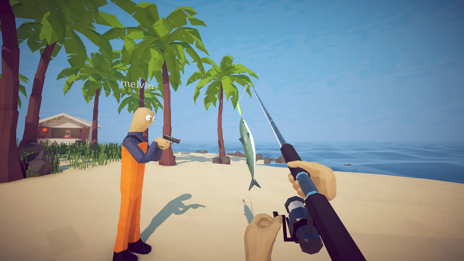 Co-op crew reeling in fish on an island shoreline